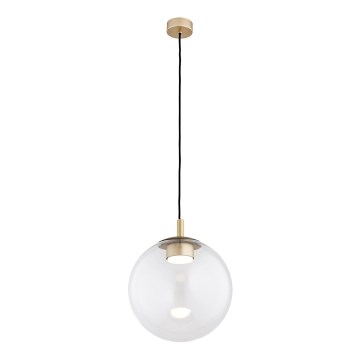 Argon 8828 - Luster na sajli SACRAMENTO 1xGX53/8W/230V prozirna/zlatna