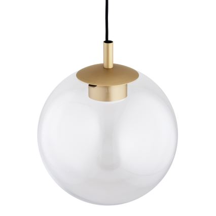 Argon 8828 - Luster na sajli SACRAMENTO 1xGX53/8W/230V prozirna/zlatna