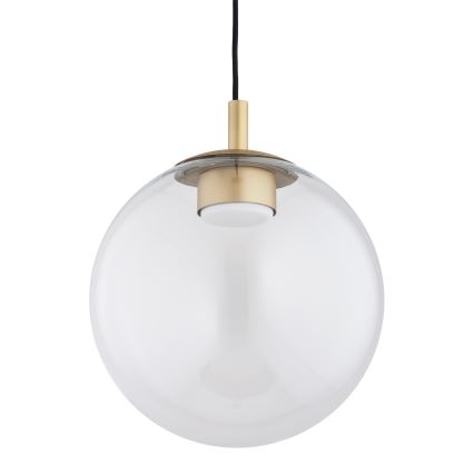 Argon 8828 - Luster na sajli SACRAMENTO 1xGX53/8W/230V prozirna/zlatna