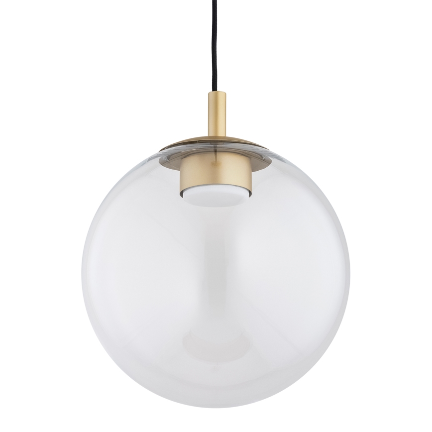 Argon 8828 - Luster na sajli SACRAMENTO 1xGX53/8W/230V prozirna/zlatna