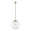 Argon 8828 - Luster na užetu SACRAMENTO 1xGX53/8W/230V prozirno/zlatno