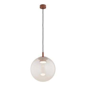 Argon 8829 - Luster na sajli SACRAMENTO 1xGX53/8W/230V prozirna/smeđa