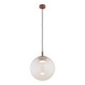 Argon 8829 - Luster na užetu SACRAMENTO 1xGX53/8W/230V prozirno/smeđa