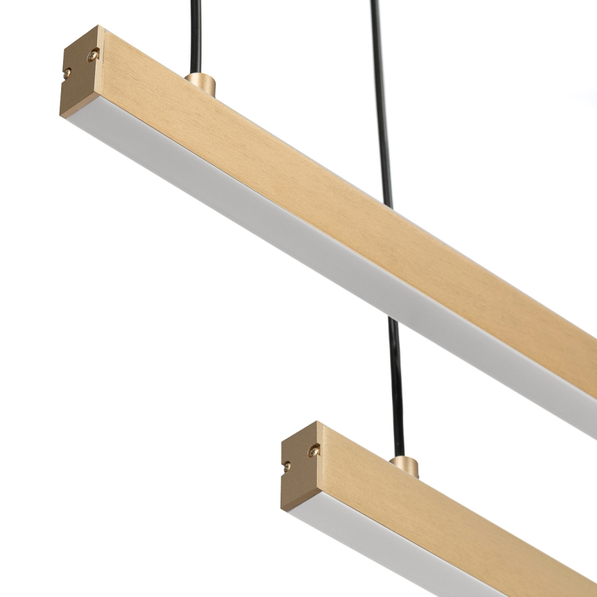 Argon 8839 - LED Luster na sajli MIAMI LED/74W/230V 3000K zlatna