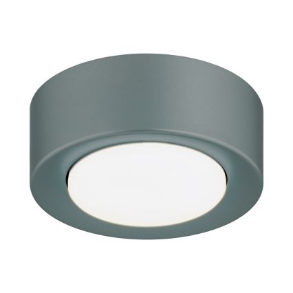 Argon 8917 - Stropna svjetiljka ELORA 1xGX53/7W/230V promjer 11 cm siva