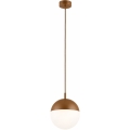 Argon 8998 - Vanjski luster na kabelu LIV 1xE27/15W/230V IP44 smeđa
