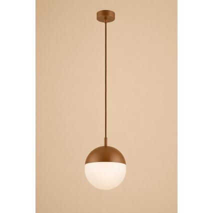 Argon 8998 - Vanjski luster na kabelu LIV 1xE27/15W/230V IP44 smeđa