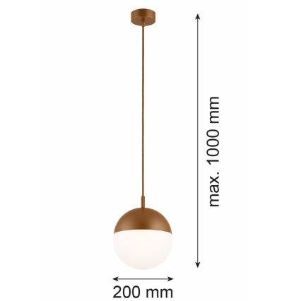 Argon 8998 - Vanjski luster na kabelu LIV 1xE27/15W/230V IP44 smeđa