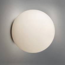 Artemide AR 0116010A - Stropna svjetiljka za kupaonicu DIOSCURI 350 1xE27/150W/230V IP44