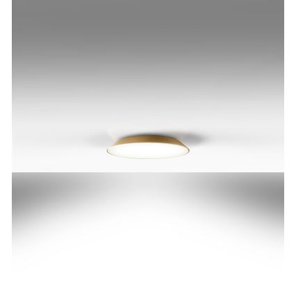 Artemide AR 0241320A - LED Stropna svjetiljka FEBE 4xLED/30W/230V