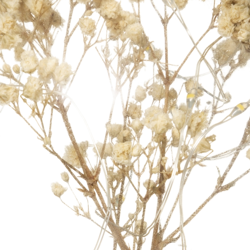 Atmosphera - LED stolna lampa MICRO LED/2xAAA antracitna