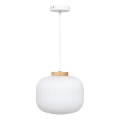 Atmosphera - Luster na sajli TRAVIS 1xE27/25W/230V borovina