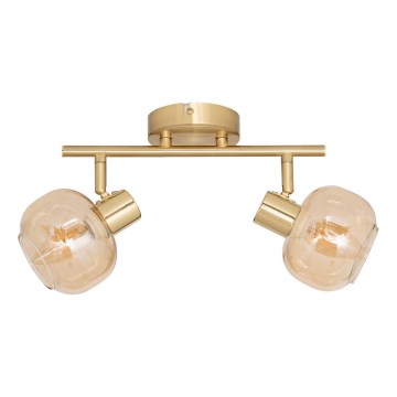 Atmosphera - Spot svjetiljka PILIA 2xE14/25W/230V