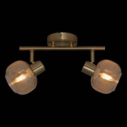 Atmosphera - Spot svjetiljka PILIA 2xE14/25W/230V