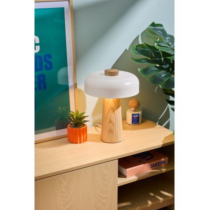 Atmosphera - Stona lampica POLA 1xE27/25W/230V