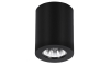 Azzardo AZ1110 - Stropna svjetiljka BORIS 1xGU10/50W/230V