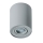 Azzardo AZ1437 - Stropna svjetiljka BROSS 1xGU10/50W/230V