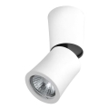 Azzardo AZ1479 - Ugradbena svjetiljka LINO 1xGU10/50W/230V