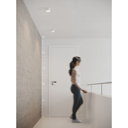 Azzardo AZ2253 - LED stropna svjetiljka MONZA LED/5W/230V