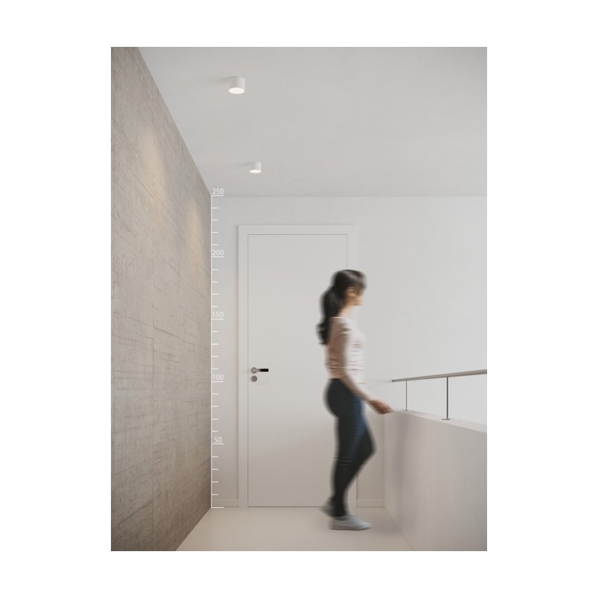 Azzardo AZ2253 - LED stropna svjetiljka MONZA LED/5W/230V