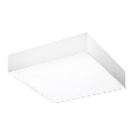 Azzardo AZ2268 - LED stropna svjetiljka MONZA SQUARE LED/20W/230V