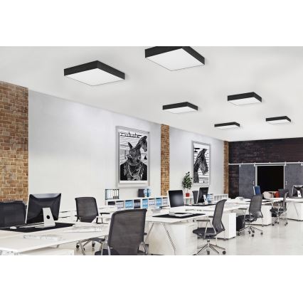 Azzardo AZ2274 - LED stropna svjetiljka MONZA SQUARE LED/50W/230V