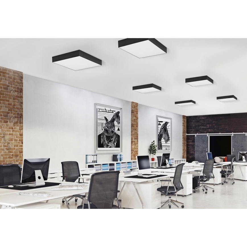 Azzardo AZ2275 - LED Stropna svjetiljka MONZA SQUARE 1xLED/50W/230V