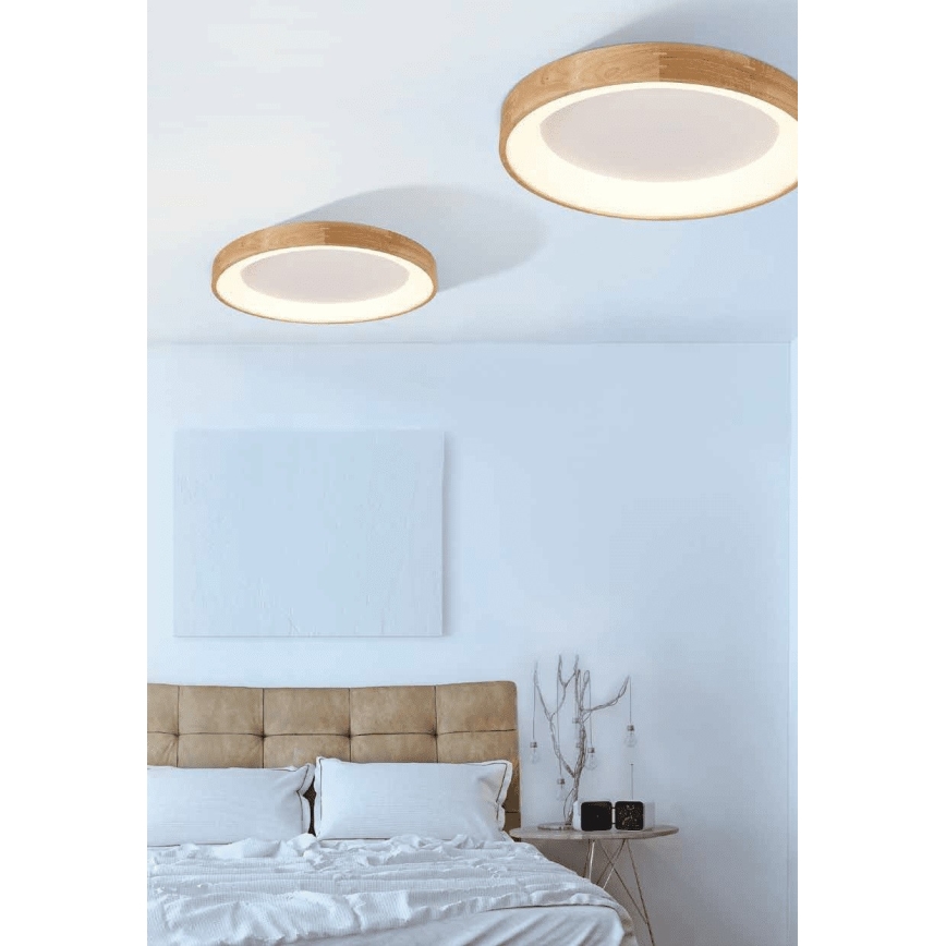 Azzardo AZ2698 - LED Stropna svjetiljka SILVAM 1xLED/50W/230V