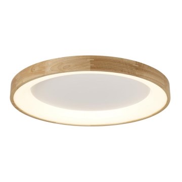 Azzardo AZ2698 - LED stropna svjetiljka SILVAM LED/50W/230V