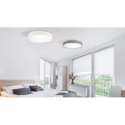 Azzardo AZ2716 - LED stropna svjetiljka za prigušivanje COLLODI 1xLED/50W/230V + DU