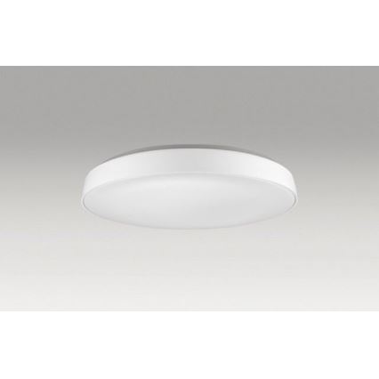 Azzardo AZ2741 - LED Stropna svjetiljka CORTONA 1xLED/50W/230V 3000K