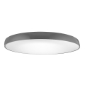 Azzardo AZ2742 - LED Stropna svjetiljka CORTONA 1xLED/50W/230V 4000K