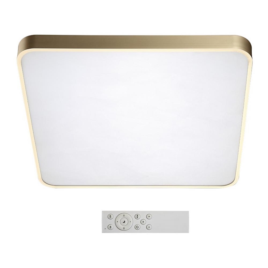 Azzardo AZ2760 - LED stropna svjetiljka za prigušivanje QUADRO 1xLED/60W/230V+DU