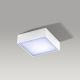 Azzardo AZ2781 - LED Stropna svjetiljka FALCO LED/12W/230V
