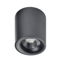 Azzardo AZ2844 - LED Stropna svjetiljka MANE 1xLED/10W/230V