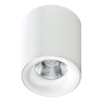 Azzardo AZ2845 - LED stropna svjetiljka MANE LED/10W/230V