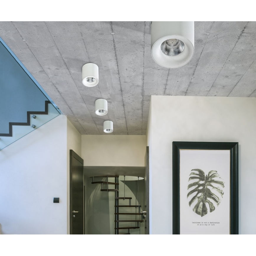 Azzardo AZ2845 - LED stropna svjetiljka MANE LED/10W/230V