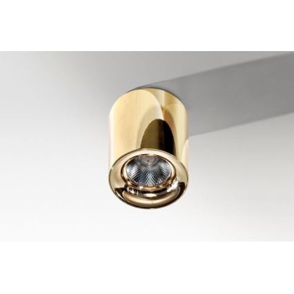 Azzardo AZ2846 - LED stropna svjetiljka MANE LED/10W/230V