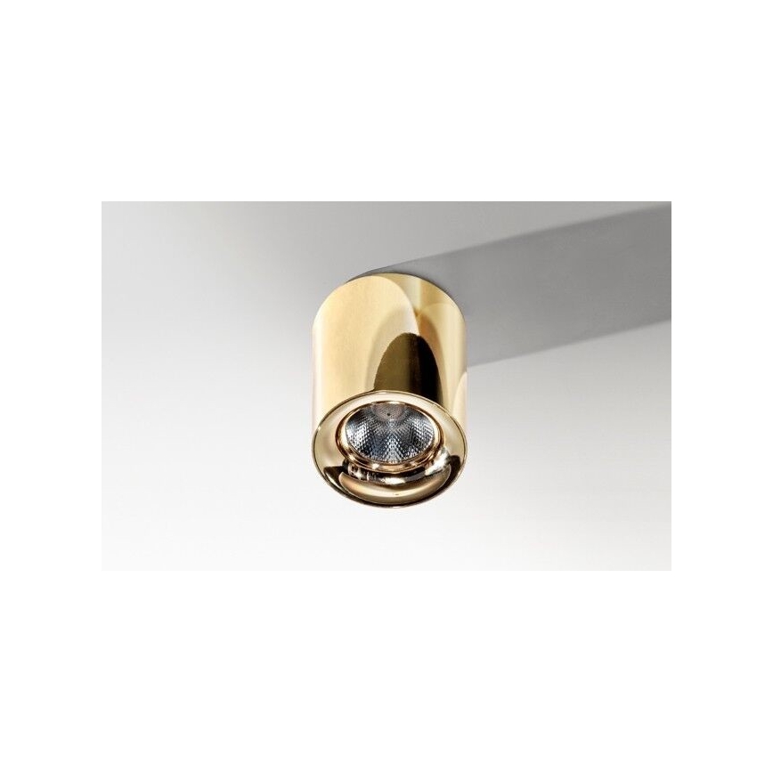 Azzardo AZ2846 - LED stropna svjetiljka MANE LED/10W/230V
