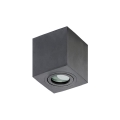 Azzardo AZ2878 - Stropna svjetiljka za kupaonicu BRANT 1xGU10/50W/230V IP44