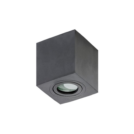 Azzardo AZ2878 - Stropna svjetiljka za kupaonicu BRANT 1xGU10/50W/230V IP44