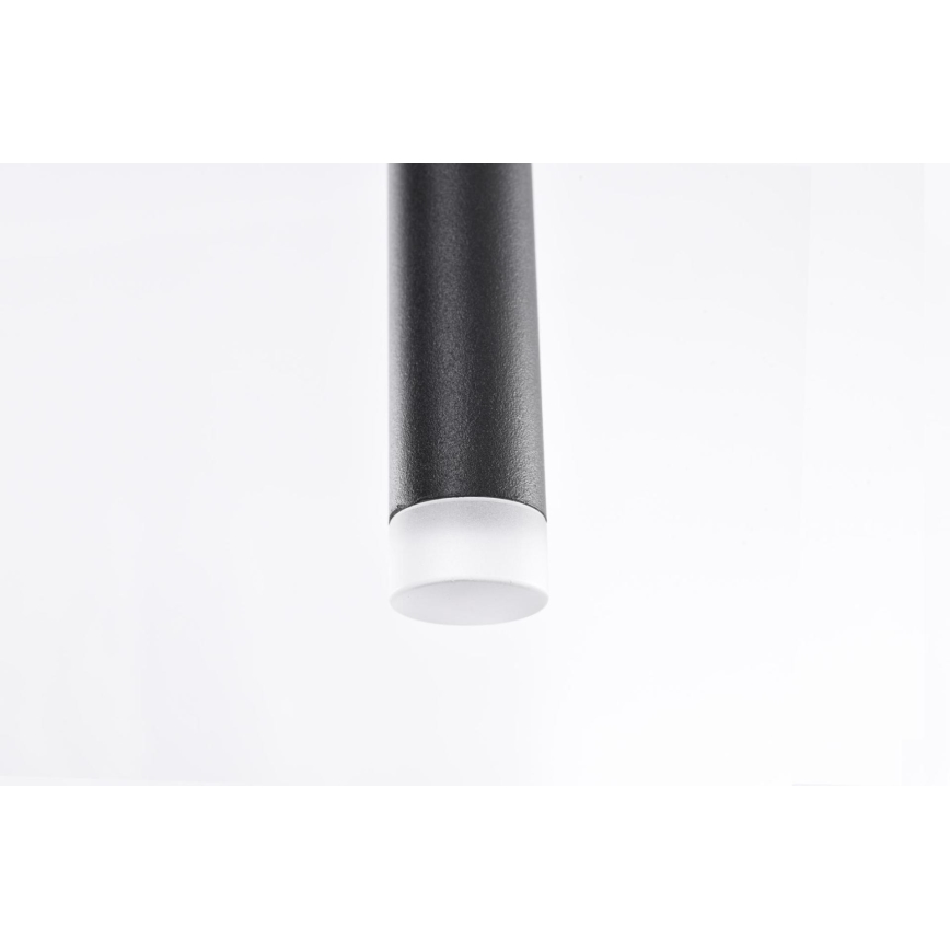 Azzardo AZ3155 - LED luster na sajli LOUISE LED/3W/230V