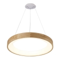 Azzardo AZ3344 - LED luster na užetu SILVAM LED/30W/230V