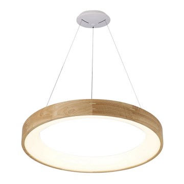 Azzardo AZ3344 - LED luster na užetu SILVAM LED/30W/230V