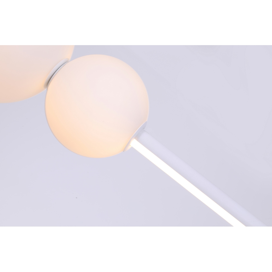 Azzardo AZ4426 - LED Prigušivi luster na sajli SANDRA LED/48W/230V bijela