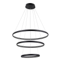 Azzardo AZ4428 - LED luster na sajli BRIGHTON LED/55W/230V crna