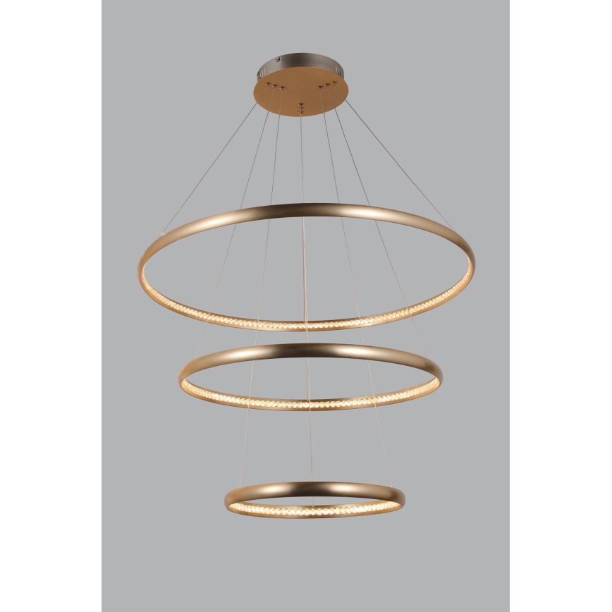 Azzardo AZ4429 - LED luster na sajli BRIGHTON LED/55W/230V zlatna