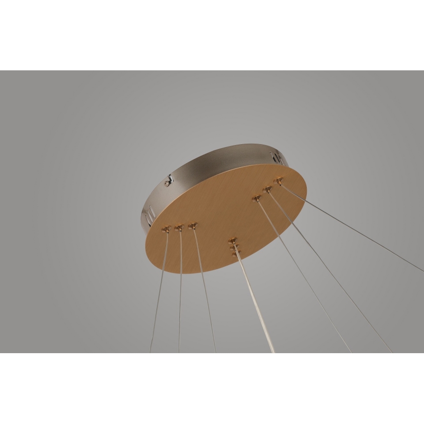 Azzardo AZ4429 - LED luster na sajli BRIGHTON LED/55W/230V zlatna