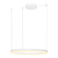 Azzardo AZ4959 - LED luster s prigušivanjem na užetu HALO LED/56W/230V promjer 80 cm bijela