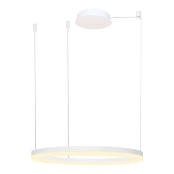 Azzardo AZ4959 - LED luster s prigušivanjem na užetu HALO LED/56W/230V promjer 80 cm bijela